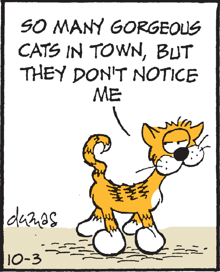 Tail OCR: SO MANY GORGEOUS CATS IN TOWNBUT THEY DON'T NOTICE ME 10-3 SO MANY GORGEOUS CATS IN TOWNBUT THEY DON'T NOTICE ME 10-3