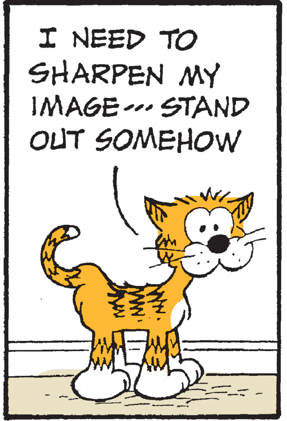 Terrestrial animal OCR: I NEED TO SHARPEN MY IMAGE- STAND OUT SOMEHOW ... I NEED TO SHARPEN MY IMAGE- STAND OUT SOMEHOW ...