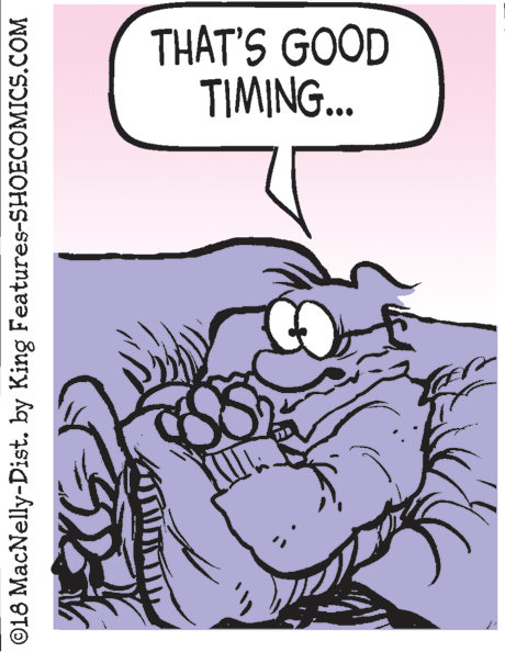 Drawing OCR: THAT'S GOOD TIMING.. ©18 MacNelly-Dist. by King Features-SHOECOMICS.COM THAT'S GOOD TIMING.. ©18 MacNelly-Dist. by King Features-SHOECOMICS.COM