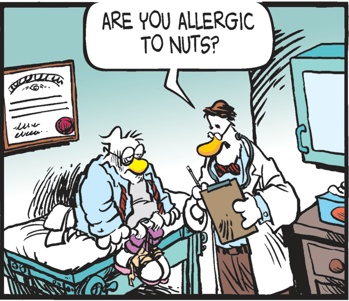 Fictional character OCR: ARE YOU ALLERGIC TO NUTS? ARE YOU ALLERGIC TO NUTS?