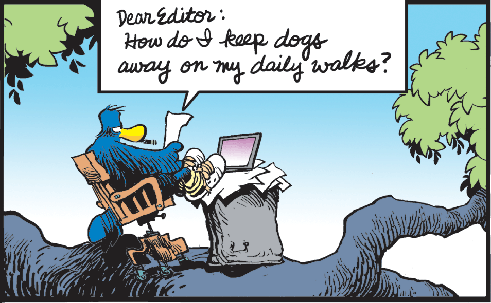 Output device OCR: Dear Editor : How do I keep dogs away on thy daily'walks? Dear Editor : How do I keep dogs away on thy daily'walks?