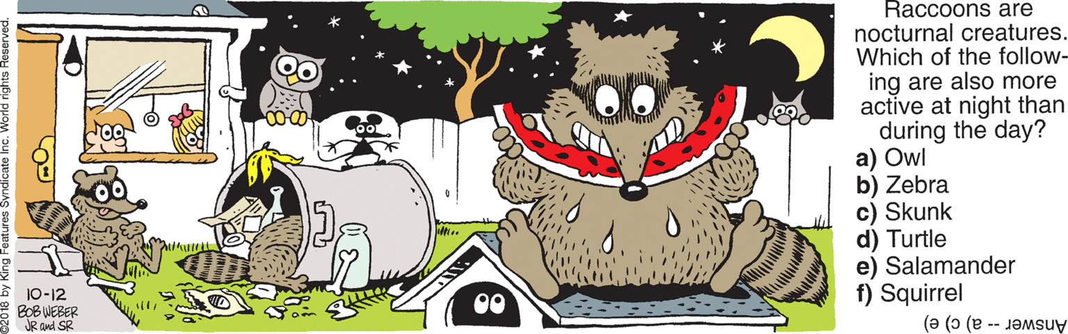Artwork OCR: Raccoons are nocturnal creatures. Which of the follow- ing are also more active at night than during the day? a) Owl b) Zebra c) Skunk d) Turtle e) Salamander f) Squirrel 10-12 BOB WEBER JR and SR 00 Answer -- a) c) e) Raccoons are nocturnal creatures. Which of the follow- ing are also more active at night than during the day? a) Owl b) Zebra c) Skunk d) Turtle e) Salamander f) Squirrel 10-12 BOB WEBER JR and SR 00 Answer -- a) c) e)