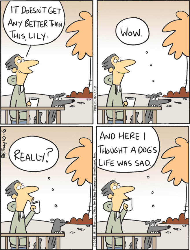 Graphics OCR: AND HERE I THOUGHT A DOG SIT DOESN'T GET ANY BETTER THAN THISLILY Wow. (REALLY? LIFE WAS SAD. AND HERE I THOUGHT A DOG SIT DOESN'T GET ANY BETTER THAN THISLILY Wow. (REALLY? LIFE WAS SAD.