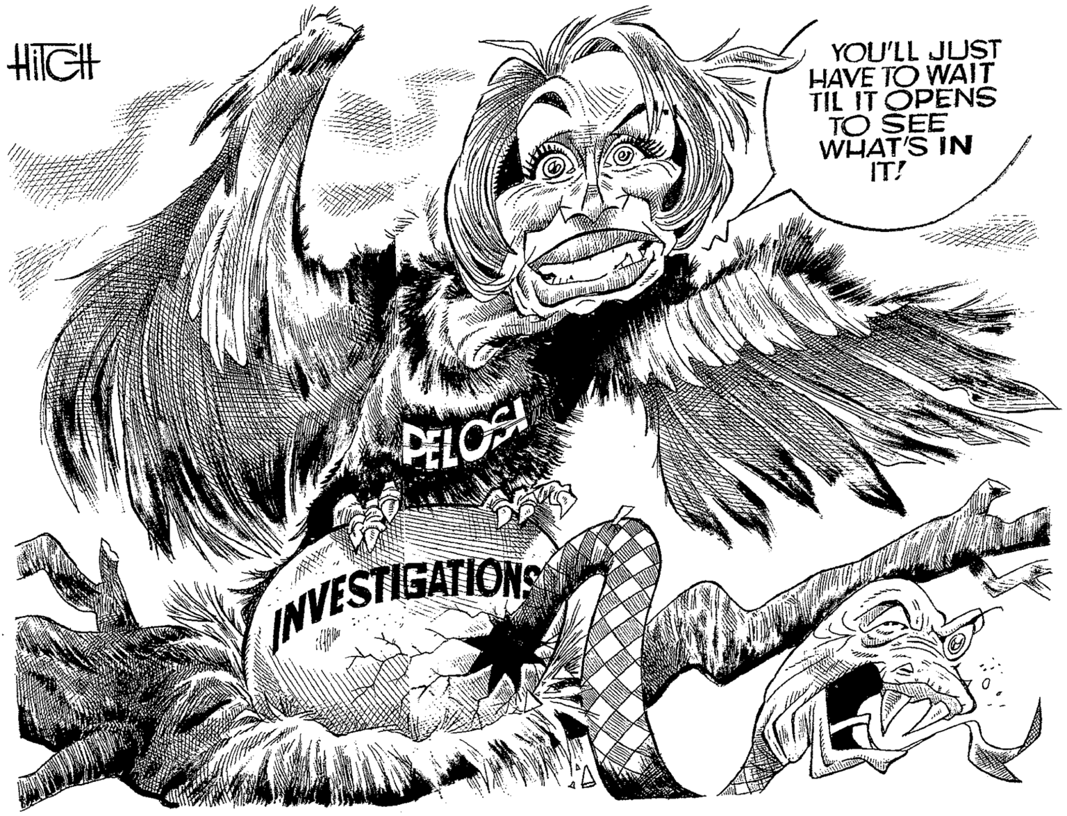 Wing OCR: HilCH YOU'LL JUST HAVE TO WAIT TIL IT OPENS TO SEE WHAT'S IN IT! PELOS INVESTIGATIONS HilCH YOU'LL JUST HAVE TO WAIT TIL IT OPENS TO SEE WHAT'S IN IT! PELOS INVESTIGATIONS