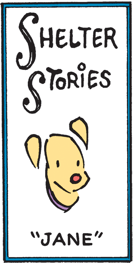 Thumb OCR: SHELTER STORIES "JANE" SHELTER STORIES "JANE"