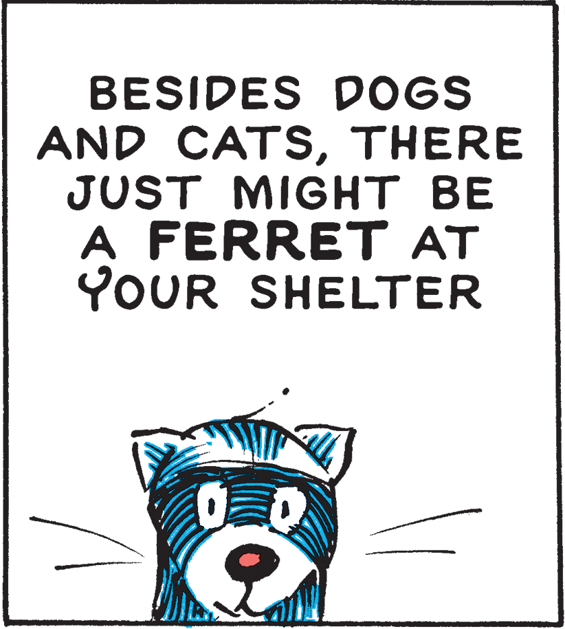 Line art OCR: BESIDES DOGS AND CATSTHERE JUST MIGHT BE A FERRET AT YOUR SHELTER BESIDES DOGS AND CATSTHERE JUST MIGHT BE A FERRET AT YOUR SHELTER