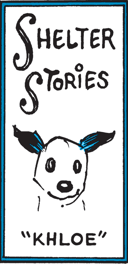 Art OCR: SHELTER STORIES "KHLOE" SHELTER STORIES "KHLOE"