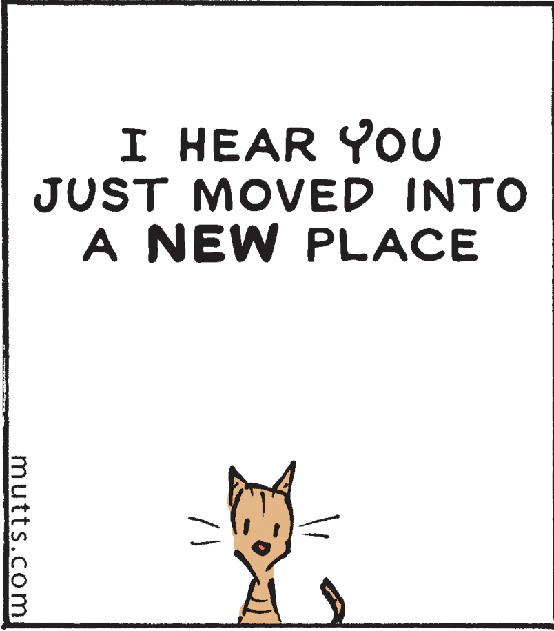 Drawing OCR: I HEAR YOU JUST MOVED INTO A NEW PLACE mutts.com I HEAR YOU JUST MOVED INTO A NEW PLACE mutts.com