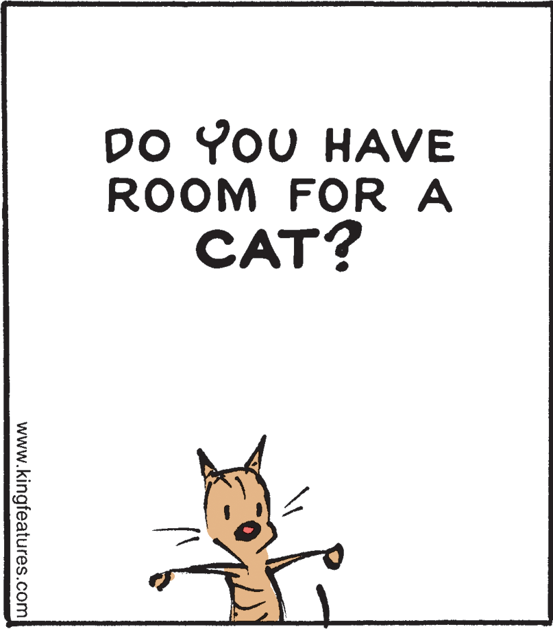 Drawing OCR: DO YOU HAVE ROOM FOR A CAT? www.kingfeatures.com DO YOU HAVE ROOM FOR A CAT? www.kingfeatures.com
