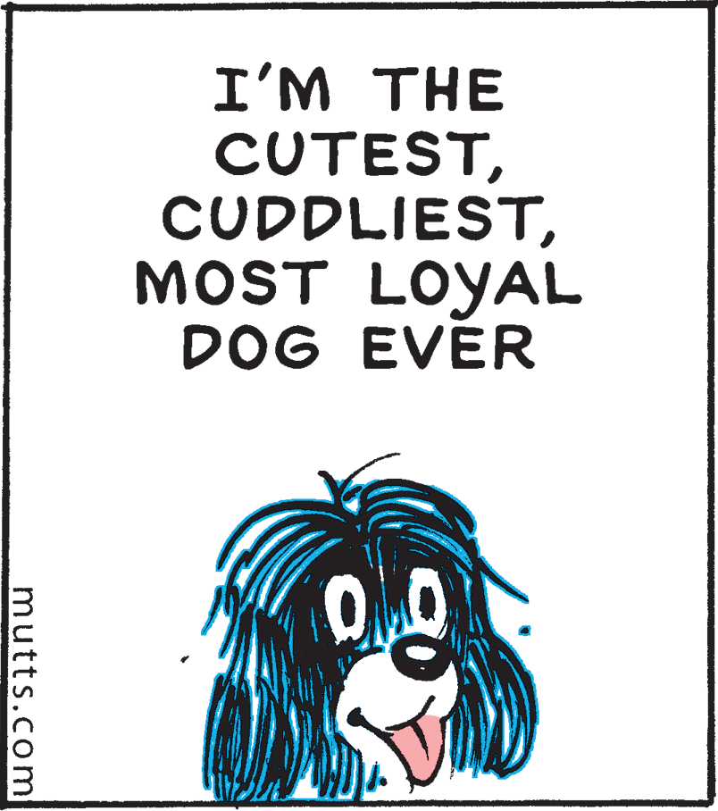 Pleased OCR: I'M THE CUTESTMOST LOYAL DOG EVER mutts.com I'M THE CUTESTMOST LOYAL DOG EVER mutts.com