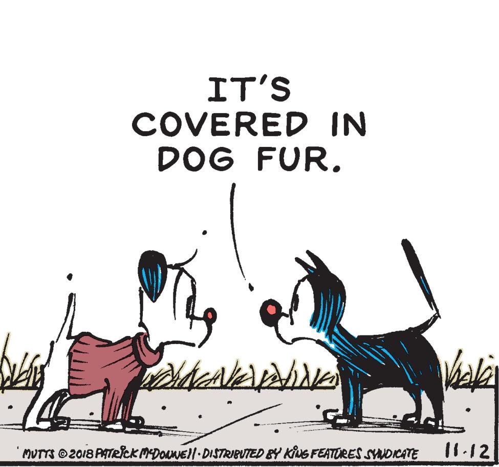 Art OCR: IT'S COVERED IN DOG FUR. MUTTS 2018 PATRick MDONE/-DISTRIBUTED BY KING FEATORES SYNDICATE 11.12 IT'S COVERED IN DOG FUR. MUTTS 2018 PATRick MDONE/-DISTRIBUTED BY KING FEATORES SYNDICATE 11.12