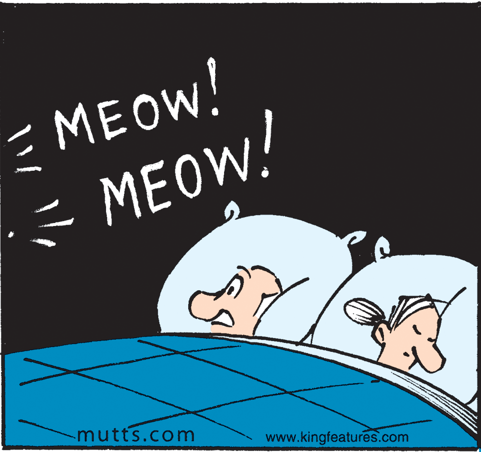 Fiction OCR: E MEOW! - MEOW! mutts.com www.kingfeatures.com E MEOW! - MEOW! mutts.com www.kingfeatures.com