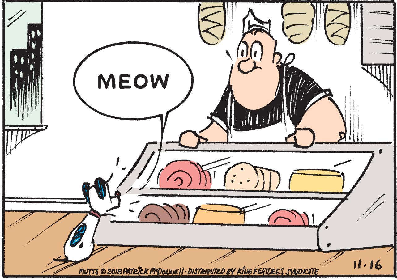 People OCR: ?EOW MUTTS 2018 PATRICK MDONEll DISTRIBUTED BY KIG FEATURES SYDCATE ?EOW MUTTS 2018 PATRICK MDONEll DISTRIBUTED BY KIG FEATURES SYDCATE