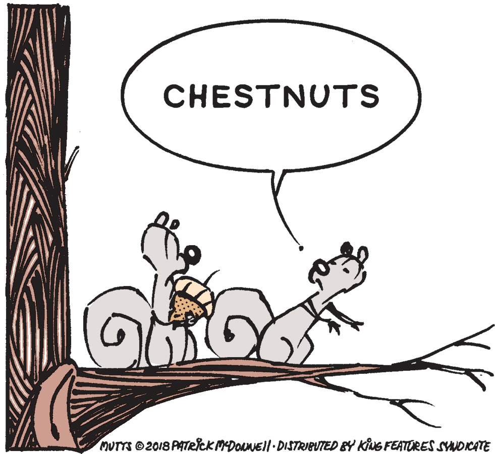 Happy OCR: CHESTNUTS MUTTS O 2018 PATICK MDOEll DISTRIBUTED BY KING FEATORES SYNOCATE CHESTNUTS MUTTS O 2018 PATICK MDOEll DISTRIBUTED BY KING FEATORES SYNOCATE