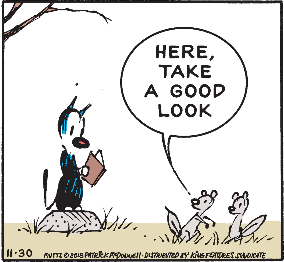 Rectangle OCR: HERETAKE A GOOD LOOK I130 MUTTS 2018 PATRCK MDOAMEII DISTRIBUTED BY KINGFEATURES SYNDICATE HERETAKE A GOOD LOOK I130 MUTTS 2018 PATRCK MDOAMEII DISTRIBUTED BY KINGFEATURES SYNDICATE