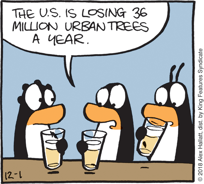 Drawing OCR: THE U.S. IS LOSING 36 MILLION URBAN TREES A YEAR. 12-1 O 2018 Alex Hallattdist. by King Features Syndicate THE U.S. IS LOSING 36 MILLION URBAN TREES A YEAR. 12-1 O 2018 Alex Hallattdist. by King Features Syndicate