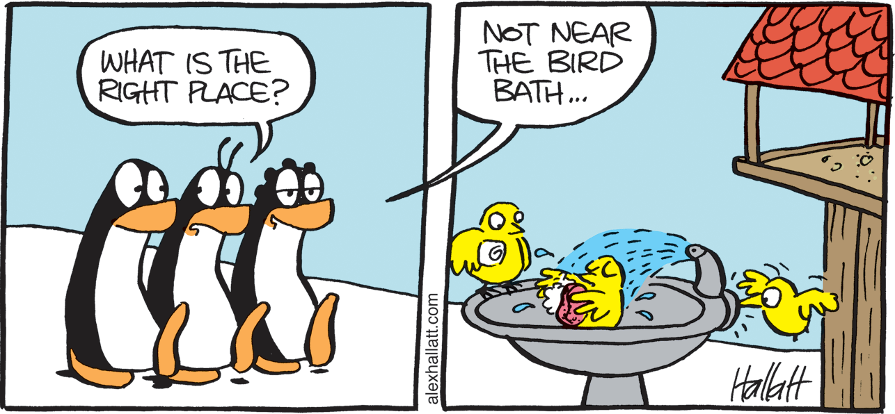Animated cartoon OCR: WHAT IS THE RIGHT PLACE? NOT NEAR THE BIRD BATH.. Hallat alexhallatt.com WHAT IS THE RIGHT PLACE? NOT NEAR THE BIRD BATH.. Hallat alexhallatt.com