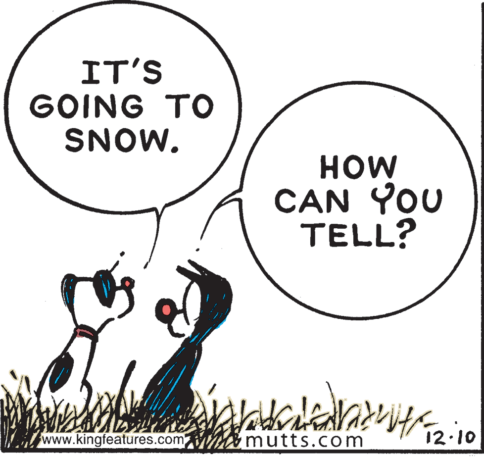 Handwriting OCR: IT'S GOING TO SNOW. HOW CAN CAN YOU TELL? www.kingfeatures.com mutts.com 12.10 IT'S GOING TO SNOW. HOW CAN CAN YOU TELL? www.kingfeatures.com mutts.com 12.10