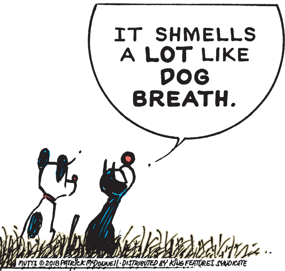 Event OCR: IT SHMELLS A LOT LIKE DOG BREATH. MUTTS 2018 PATRICK MDONNEL DISTRIBUTED BY KIS FEATURES SYNDCATE IT SHMELLS A LOT LIKE DOG BREATH. MUTTS 2018 PATRICK MDONNEL DISTRIBUTED BY KIS FEATURES SYNDCATE