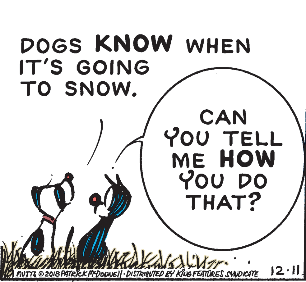 Photo caption OCR: DOGS KNOW WHEN IT'S GOING TO SNOW. CAN YOU TELL ?? HOW YoU DO THAT? MUTTS 2018 PMTRICK MEDONEl·DISTRIBUTED BY KiNG FEATURES SYOKATE 12•|| DOGS KNOW WHEN IT'S GOING TO SNOW. CAN YOU TELL ?? HOW YoU DO THAT? MUTTS 2018 PMTRICK MEDONEl·DISTRIBUTED BY KiNG FEATURES SYOKATE 12•||