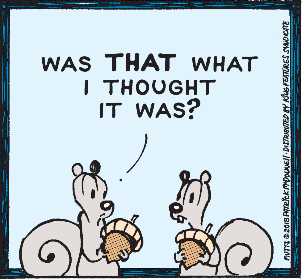 Pleased OCR: WAS THAT WHAT I THOUGHT IT WAS? MUTTS ©2018 PATRICK MDONEII DISTRIBUTED BY KING FEATORES SYNDKATE WAS THAT WHAT I THOUGHT IT WAS? MUTTS ©2018 PATRICK MDONEII DISTRIBUTED BY KING FEATORES SYNDKATE