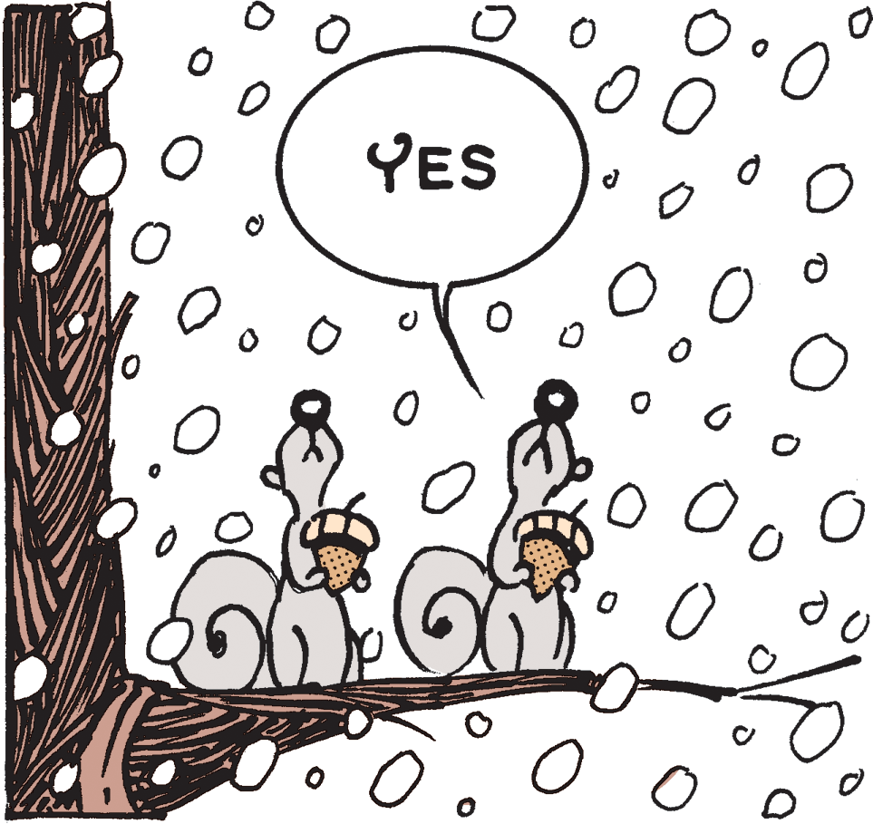 Tree OCR: YES YES