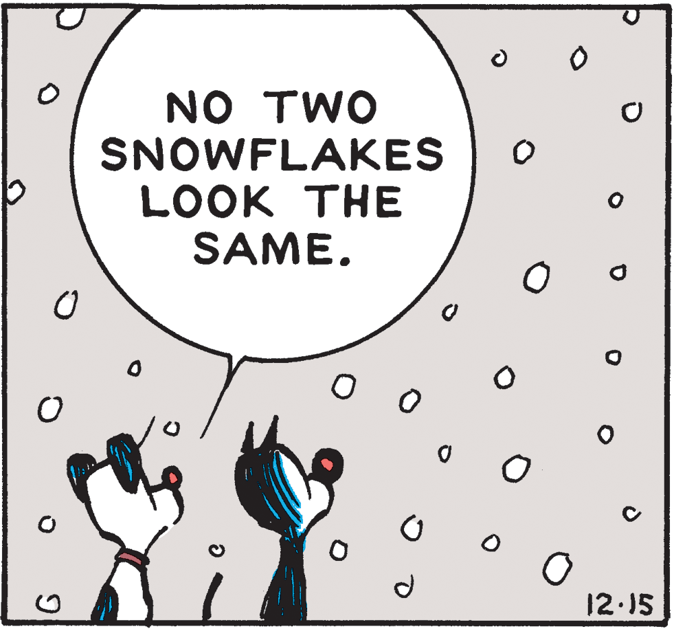 Illustration OCR: NO TWO SNOWFLAKES LOOK THE SAME. 12.15 NO TWO SNOWFLAKES LOOK THE SAME. 12.15