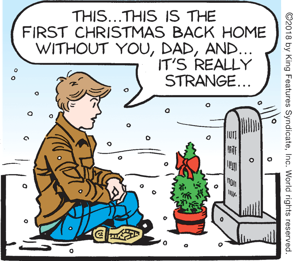 Houseplant OCR: THIS...THIS IS THE FIRST CHRISTMAS BACK HOME WITHOUT YOUAND.. IT'S REALLY STRANGE... IFTE ©2018 by King Features SyndicateInc. World rights reserved. ? ?? THIS...THIS IS THE FIRST CHRISTMAS BACK HOME WITHOUT YOUAND.. IT'S REALLY STRANGE... IFTE ©2018 by King Features SyndicateInc. World rights reserved. ? ? ?