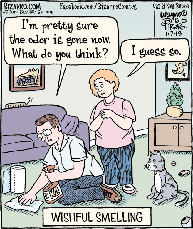 Illustration OCR: BIZARRO.COM © 2019 BIZARRO STUDIOS Facebook.com/BizarroComics Dist 9 King features Wayno® I'm pretty sure the odor is gone nowWhat do 1•7•19 you think? I guess so. Olo K2 WISHFUL SMELLING BIZARRO.COM © 2019 BIZARRO STUDIOS Facebook.com/BizarroComics Dist 9 King features Wayno® I'm pretty sure the odor is gone nowWhat do 1•7•19 you think? I guess so. Olo K2 WISHFUL SMELLING