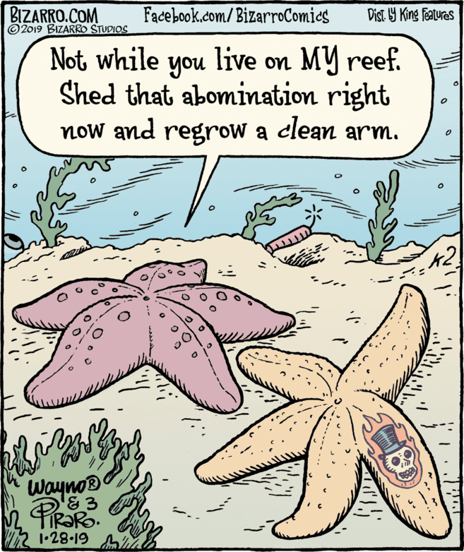 Perennial plant OCR: BIZARRO.COM © 2019 BIZARRO STUDIOS Facebook.com/BizarroComics Dist 9 King features live on MY reef. Not while Shed that abomination right now and regrow a clean arm. you 7. Wayno TR?RO. 1•28.19 hi BIZARRO.COM © 2019 BIZARRO STUDIOS Facebook.com/BizarroComics Dist 9 King features live on MY reef. Not while Shed that abomination right now and regrow a clean arm. you 7. Wayno TR?RO. 1•28.19 hi