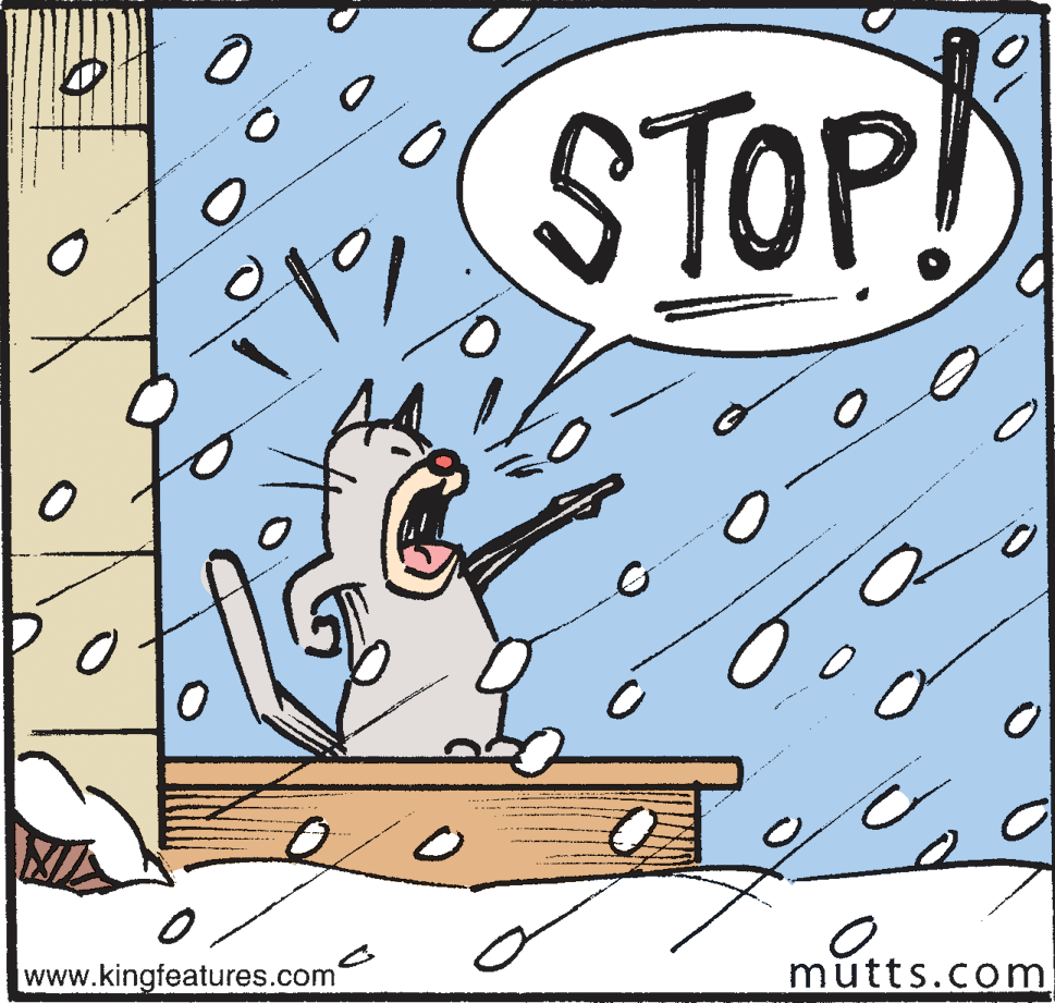 Pattern OCR: STOP .. www.kingfeatures.com mutts.com STOP .. www.kingfeatures.com mutts.com
