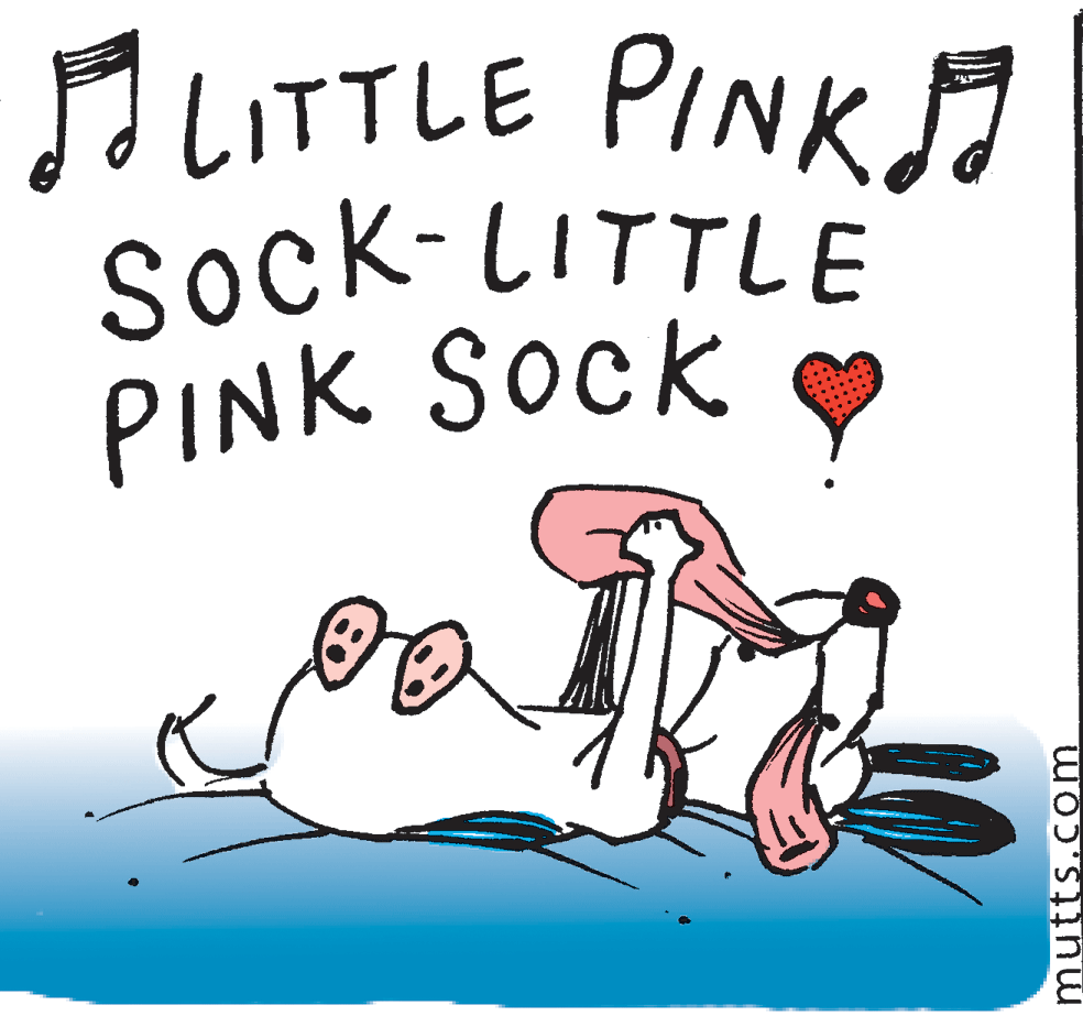 Drawing OCR: ALITTLE PINK sock-LITTLE PINK SOCK mutts.com ALITTLE PINK sock-LITTLE PINK SOCK mutts.com