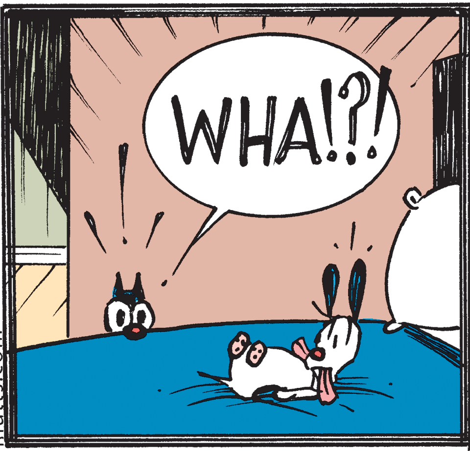 Illustration OCR: WHA!?! WHA!?!