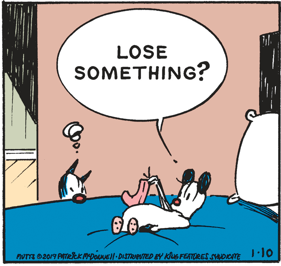 Happy OCR: LOSE SOMETHING? MUTTS 2019 PATeicKMDONANEl DISTRIBUTED EY KING FEATORES SVUDICATE LOSE SOMETHING? MUTTS 2019 PATeicKMDONANEl DISTRIBUTED EY KING FEATORES SVUDICATE