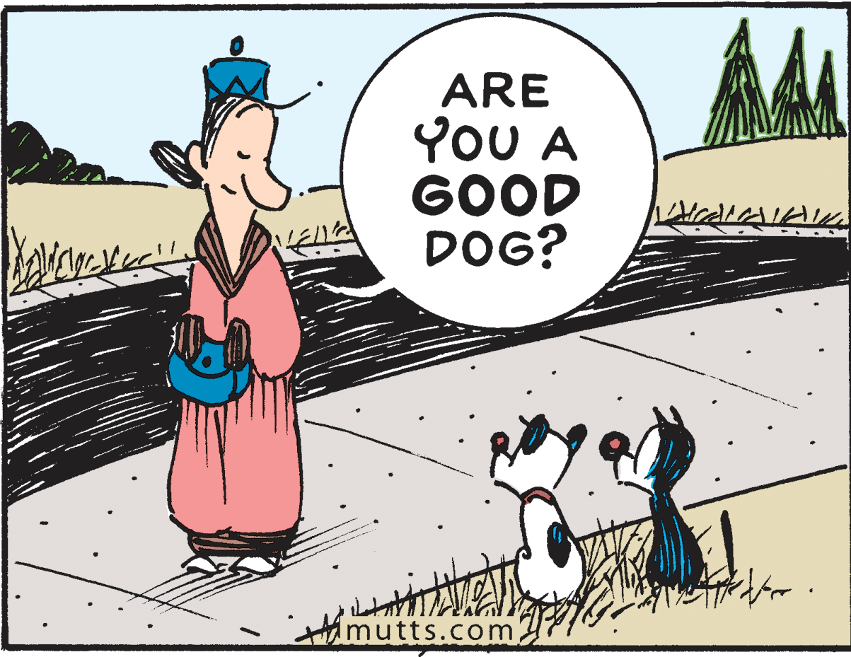 Conversation OCR: ARE YOU A GOOD DOG? timutts.com ARE YOU A GOOD DOG? timutts.com