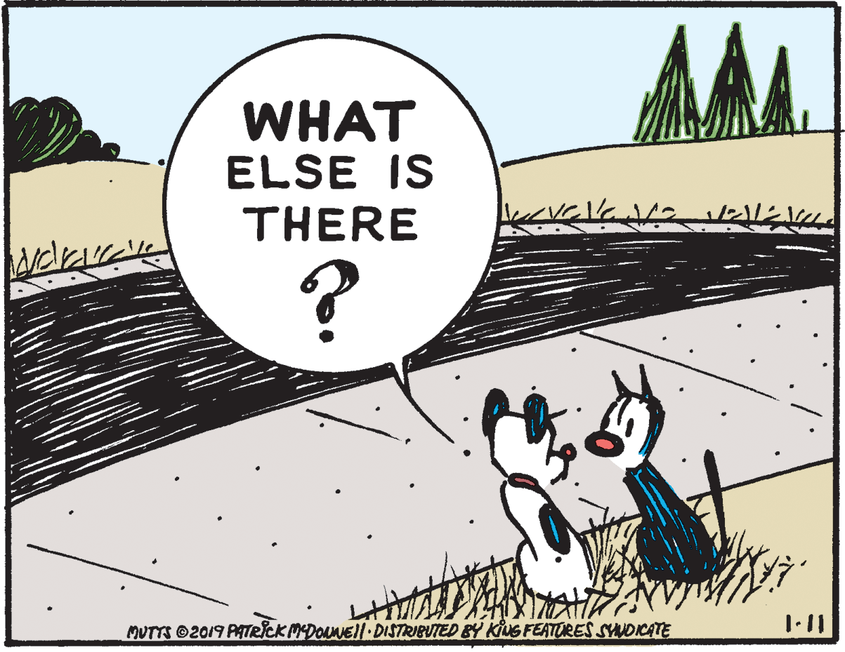 Slope OCR: AA WHAT ELSE IS THERE MUTTS ©2019 PATRCK MDOUNEll DISTRIBUTED BY KiUG FEATORES SYNDICATE AA WHAT ELSE IS THERE MUTTS ©2019 PATRCK MDOUNEll DISTRIBUTED BY KiUG FEATORES SYNDICATE