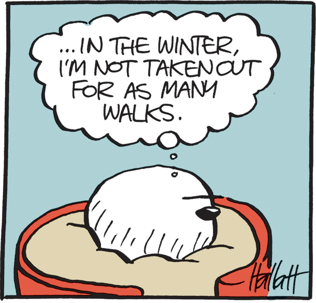 Ink OCR: ... IN THE WINTERI'M NOT TAKENOUT FOR AS MANM WALKS. ... IN THE WINTERI'M NOT TAKENOUT FOR AS MANM WALKS.