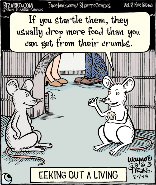Humour OCR: BIZARRO.COM © 2019 BIZARRO STUDIOS Facebook.com/BizarroComics Dist 9 King features If you startle themthey usually drop more food than you can get from their crumbs. Wayno '& 3 TIR?Ro. 2.7.19 EEKING OUT A LIVING BIZARRO.COM © 2019 BIZARRO STUDIOS Facebook.com/BizarroComics Dist 9 King features If you startle themthey usually drop more food than you can get from their crumbs. Wayno '& 3 TIR?Ro. 2.7.19 EEKING OUT A LIVING
