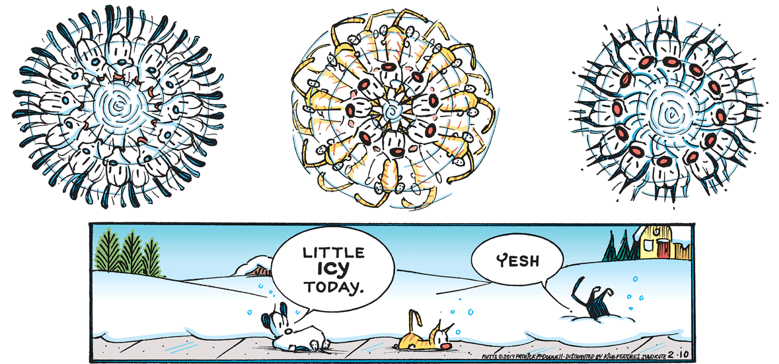 Symmetry OCR: LITTLE YESH icy TODAY. LITTLE YESH icy TODAY.