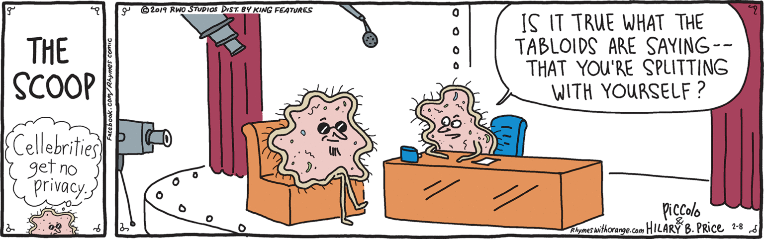 Drawing OCR: 9 ©2019 RWO STUDIOS DIST. BY KING FEATURES THE SCOOP IS IT TRUE WHAT THE TABLOIDS ARE SAYING-- THAT YOU'RE SPLITTING WITH YOURSELF ? (Cellebrities get no privacy Piccolo Rhymes withorange.com HILARY B. PRice 2-8 9 ©2019 RWO STUDIOS DIST. BY KING FEATURES THE SCOOP IS IT TRUE WHAT THE TABLOIDS ARE SAYING-- THAT YOU'RE SPLITTING WITH YOURSELF ? (Cellebrities get no privacy Piccolo Rhymes withorange.com HILARY B. PRice 2-8