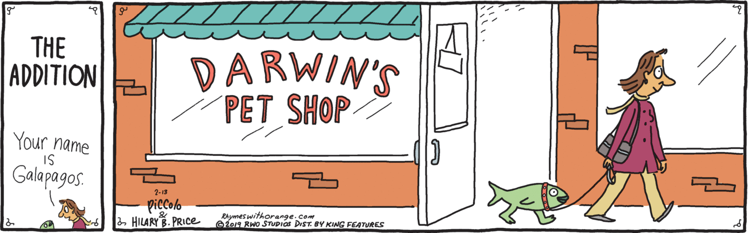Felidae OCR: THE ADDITION DARWIN'S PET SHOP Your name IS Galapagos. 2-13 piecolo Rhymes withorange.com e2019 RWo STUDIOS DIST. BY KING FEATURES 2 HILARY B. PRICE THE ADDITION DARWIN'S PET SHOP Your name IS Galapagos. 2-13 piecolo Rhymes withorange.com e2019 RWo STUDIOS DIST. BY KING FEATURES 2 HILARY B. PRICE