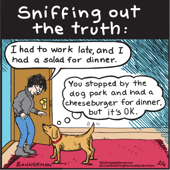 Water OCR: Sniffing out the truth: I had to work lateand I had a salad for dinner. You stopped by the dog park and had a cheeseburger for dinnerbut it's OK. BANNERMAN ©2019 IsabellaBannerman SIXCHXO2019 KingFeaturesSyndicatejnc. 2/4 Sniffing out the truth: I had to work lateand I had a salad for dinner. You stopped by the dog park and had a cheeseburger for dinnerbut it's OK. BANNERMAN ©2019 IsabellaBannerman SIXCHXO2019 KingFeaturesSyndicatejnc. 2/4