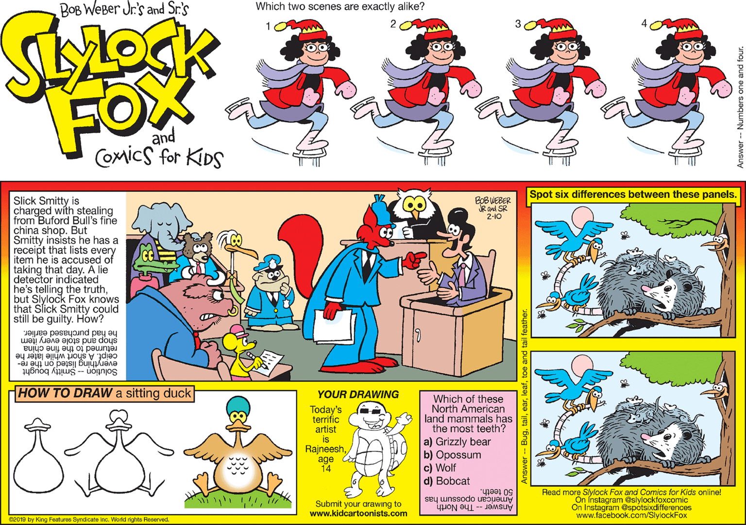 Art OCR: BOB WEBer Jr.'s and Sr.'s Which two scenes are exactly alike? FOX and Comics for KDS Spot six differences between these panels. Slick Smitty is charged with stealing from Buford Bull's fine china shop. But Smitty insists he has a receipt that lists every item he is accused of taking that day. A lie detector indicated he's telling the truthbut Slylock Fox knows that Slick Smitty could still be guilty. How? BOB WEBER JR and SR 2-10 shop and stole every item he had purchased earlier. ceipt. A short while later he everything listed on the re- Solution -- Smitty bought returned to the fine china HOW TO DRAW a sitting duck YOUR DRAWING Which of these North American land mammals has the most teeth? Today's terrific artist is Rajneeshage 14 a) Grizzly bear b) Opossum c) Wolf d) Bobcat Read more Slylock Fox and Comics for Kids online! On Instagram @slylockfoxcomic On Instagram @spotsixdifferences www.facebook.com/SlylockFox American opossum has 50 teeth. Submit your arawing to www.kidcartoonists.com Answer- The North 02019 by King Features Syndicate Inc. World rights Reserved. swer -- Buglea BOB WEBer Jr.'s and Sr.'s Which two scenes are exactly alike? FOX and Comics for KDS Spot six differences between these panels. Slick Smitty is charged with stealing from Buford Bull's fine china shop. But Smitty insists he has a receipt that lists every item he is accused of taking that day. A lie detector indicated he's telling the truthbut Slylock Fox knows that Slick Smitty could still be guilty. How? BOB WEBER JR and SR 2-10 shop and stole every item he had purchased earlier. ceipt. A short while later he everything listed on the re- Solution -- Smitty bought returned to the fine china HOW TO DRAW a sitting duck YOUR DRAWING Which of these North American land mammals has the most teeth? Today's terrific artist is Rajneeshage 14 a) Grizzly bear b) Opossum c) Wolf d) Bobcat Read more Slylock Fox and Comics for Kids online! On Instagram @slylockfoxcomic On Instagram @spotsixdifferences www.facebook.com/SlylockFox American opossum has 50 teeth. Submit your arawing to www.kidcartoonists.com Answer- The North 02019 by King Features Syndicate Inc. World rights Reserved. swer -- Bug
