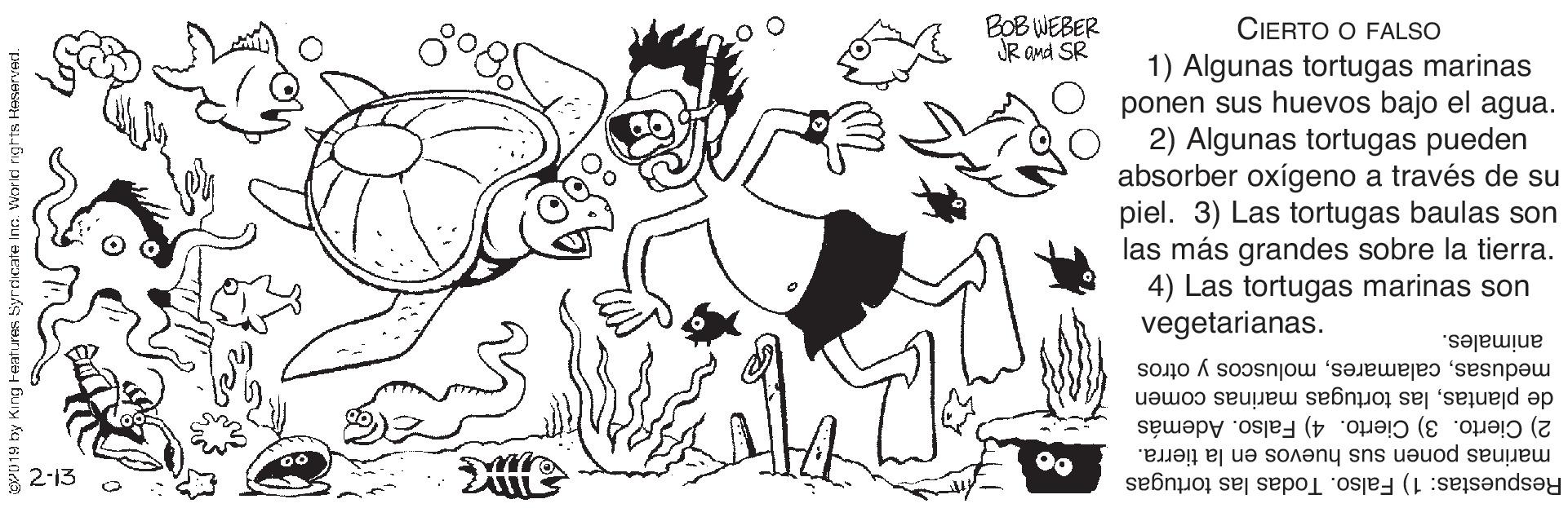 Organism OCR: BOB WEBER JR and SR CIERTO O FALSO 1) Algunas tortugas marinas ponen sus huevos bajo el agua. 2) Algunas tortugas pueden absorber oxígeno a través de su piel. 3) Las tortugas baulas son las más grandes sobre la tierra. 4) Las tortugas marinas son vegetarianas. animales. medusasmoluscos y otros de plantaslas tortugas marinas comen 2) Cierto. 3) Cierto. 4) Falso. Además 00 marinas ponen sus huevos en la tierra. 2-13 Respuestas: 1) Falso. Todas las tortugas BOB WEBER JR and SR CIERTO O FALSO 1) Algunas tortugas marinas ponen sus huevos bajo el agua. 2) Algunas tortugas pueden absorber oxígeno a través de su piel. 3) Las tortugas baulas son las más grandes sobre la tierra. 4) Las tortugas marinas son vegetarianas. animales. medusasmoluscos y otros de plantaslas tortugas marinas comen 2) Cierto. 3) Cierto. 4) Falso. Además 00 marinas ponen sus huevos en la tierra. 2-13 Respuestas: 1) Falso. Todas las tortugas