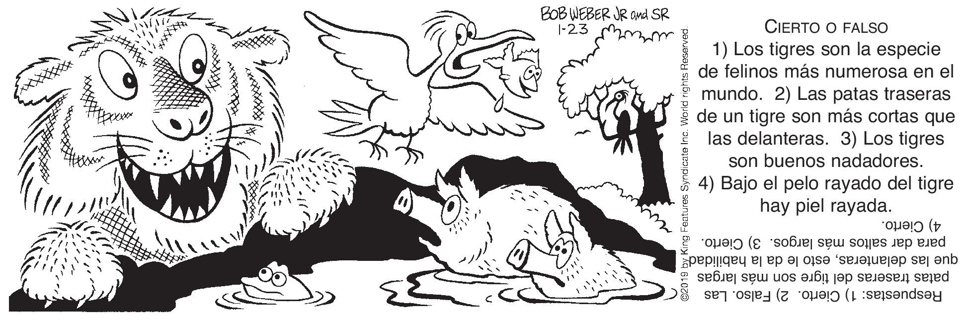 Illustration OCR: BOB WEBER JR and SR |-23 CIERTO O FALSO 1) Los tigres son la especie de felinos más numerosa en el mundo. 2) Las patas traseras de un tigre son más cortas que las delanteras. 3) Los tigres son buenos nadadores. 4) Bajo el pelo rayado del tigre hay piel rayada. 4) Cierto. para dar saltos más largos. 3) Cierto. que las delanterasesto le da la habilidad patas traseras del tigre son más largas Respuestas: 1) Cierto. 2) Falso. Las BOB WEBER JR and SR |-23 CIERTO O FALSO 1) Los tigres son la especie de felinos más numerosa en el mundo. 2) Las patas traseras de un tigre son más cortas que las delanteras. 3) Los tigres son buenos nadadores. 4) Bajo el pelo rayado del tigre hay piel rayada. 4) Cierto. para dar saltos más largos. 3) Cierto. que las delanterasesto le da la habilidad patas traseras del tigre son más largas Respuestas: 1) Cierto. 2) Falso. Las