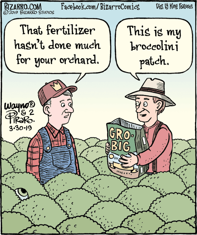 Comics OCR: BIZARRO.COM © 2019 BIZARRO STUDIOS Facebook.com/BizarroComics Dist Y King Fatures That fertilizer hasn't done much This is my brocolini patch. for your orchard. Wayno® 3.30-19 GRO BIG BIZARRO.COM © 2019 BIZARRO STUDIOS Facebook.com/BizarroComics Dist Y King Fatures That fertilizer hasn't done much This is my brocolini patch. for your orchard. Wayno® 3.30-19 GRO BIG