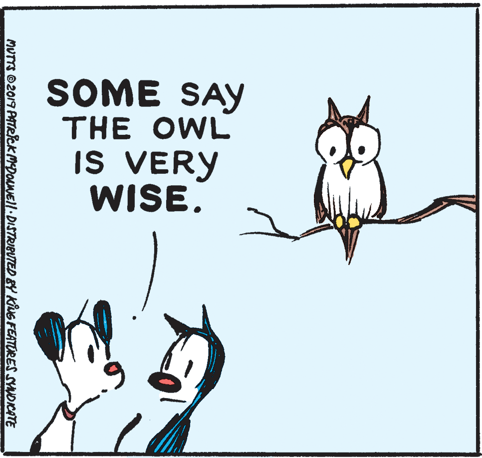 Happy OCR: SOME SAY THE OWL IS VERY WISE. MUTS ©2019 PATRICK MDONNEll.DISTRIBUTED &Y KiNG FEATURES SYDCATE SOME SAY THE OWL IS VERY WISE. MUTS ©2019 PATRICK MDONNEll.DISTRIBUTED &Y KiNG FEATURES SYDCATE