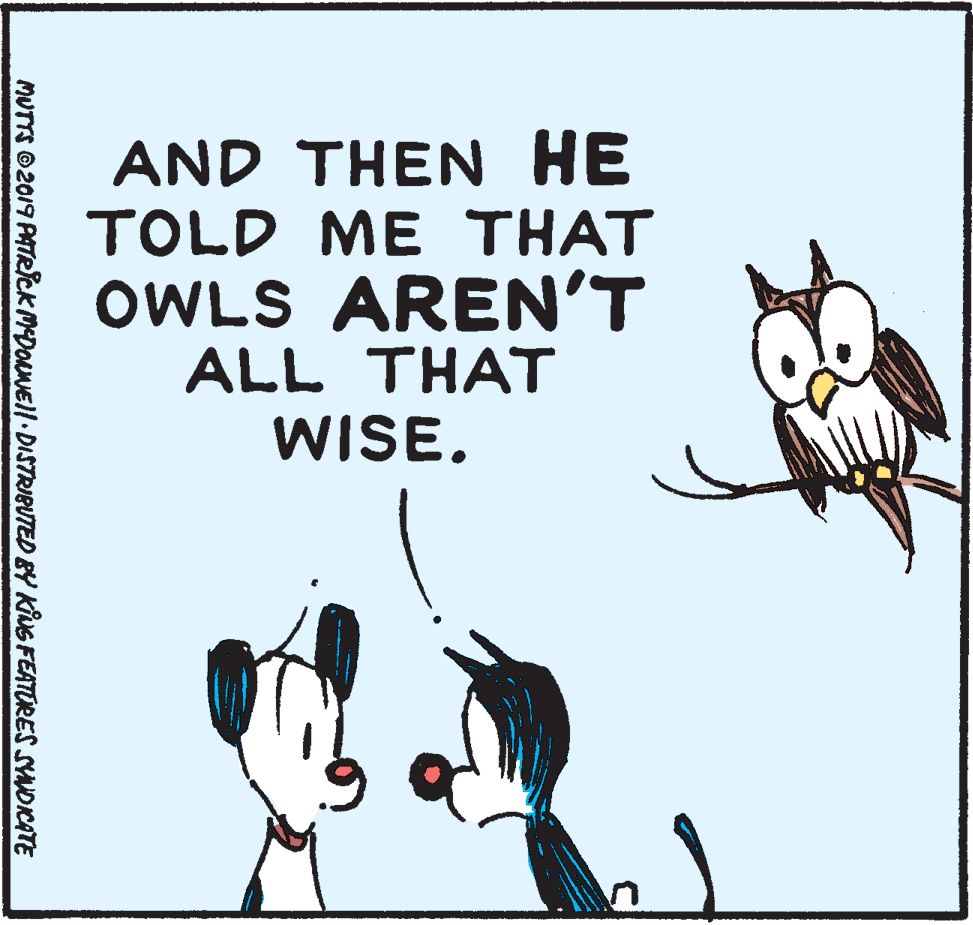 Adaptation OCR: AND THEN HE TOLD ME THAT OWLS AREN'T ALL THAT WISE. MUTTS ©2019 PATRICK MDONEII.DISTRIPUTED BY KiNG FEATURES SYDICATE AND THEN HE TOLD ME THAT OWLS AREN'T ALL THAT WISE. MUTTS ©2019 PATRICK MDONEII.DISTRIPUTED BY KiNG FEATURES SYDICATE