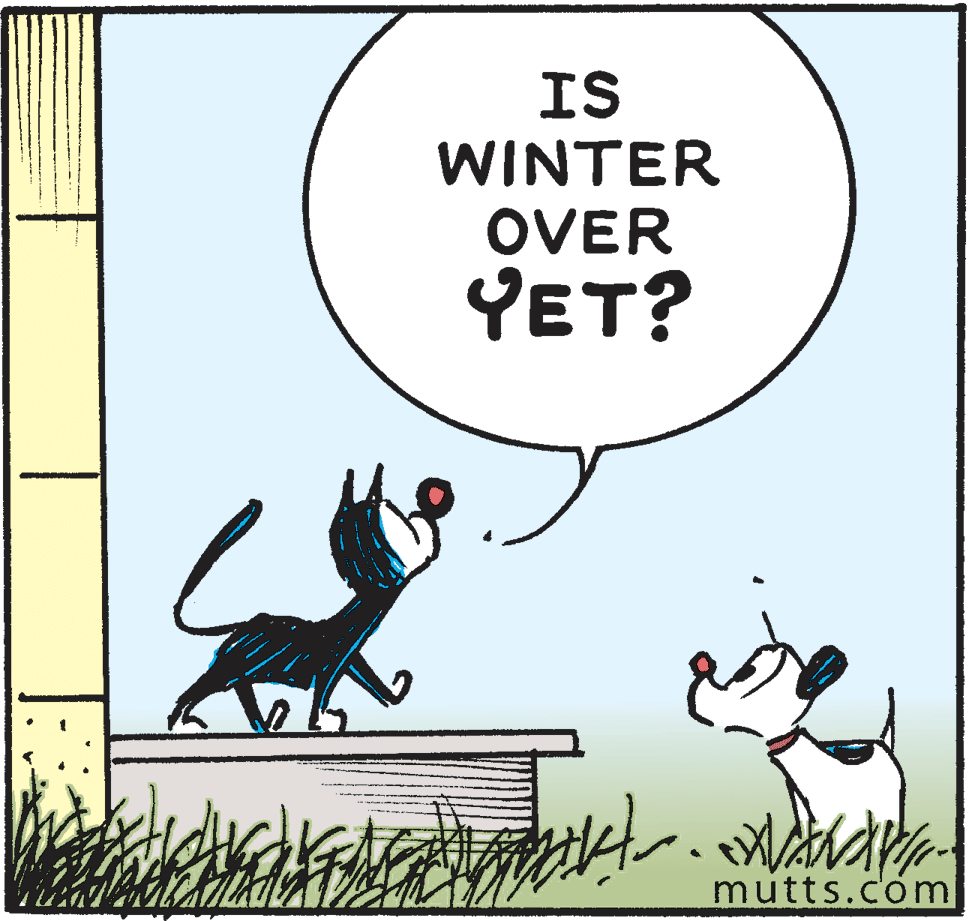 Art OCR: IS WINTER OVER YET? mutts.com IS WINTER OVER YET? mutts.com