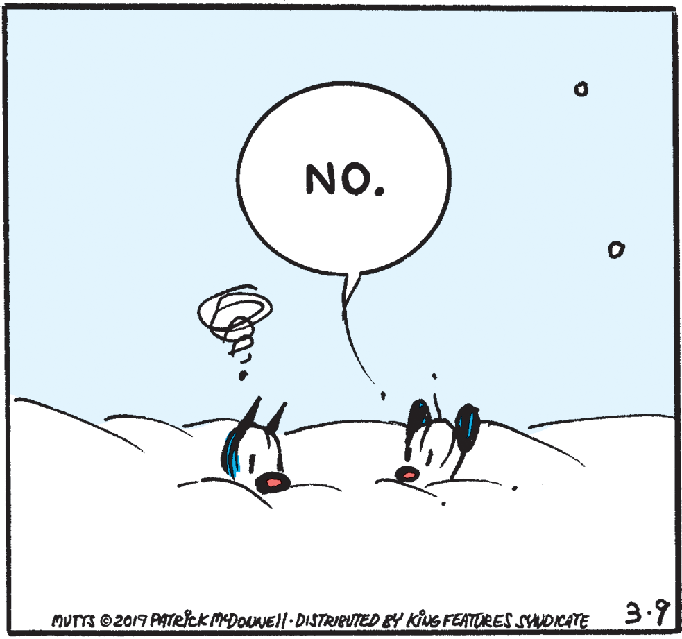 Illustration OCR: NO. MUTTS ©2019 PATRICK MDONNEll-DISTRIBUTED BY KING FEATORES SYDICATE 3.9 NO. MUTTS ©2019 PATRICK MDONNEll-DISTRIBUTED BY KING FEATORES SYDICATE 3.9
